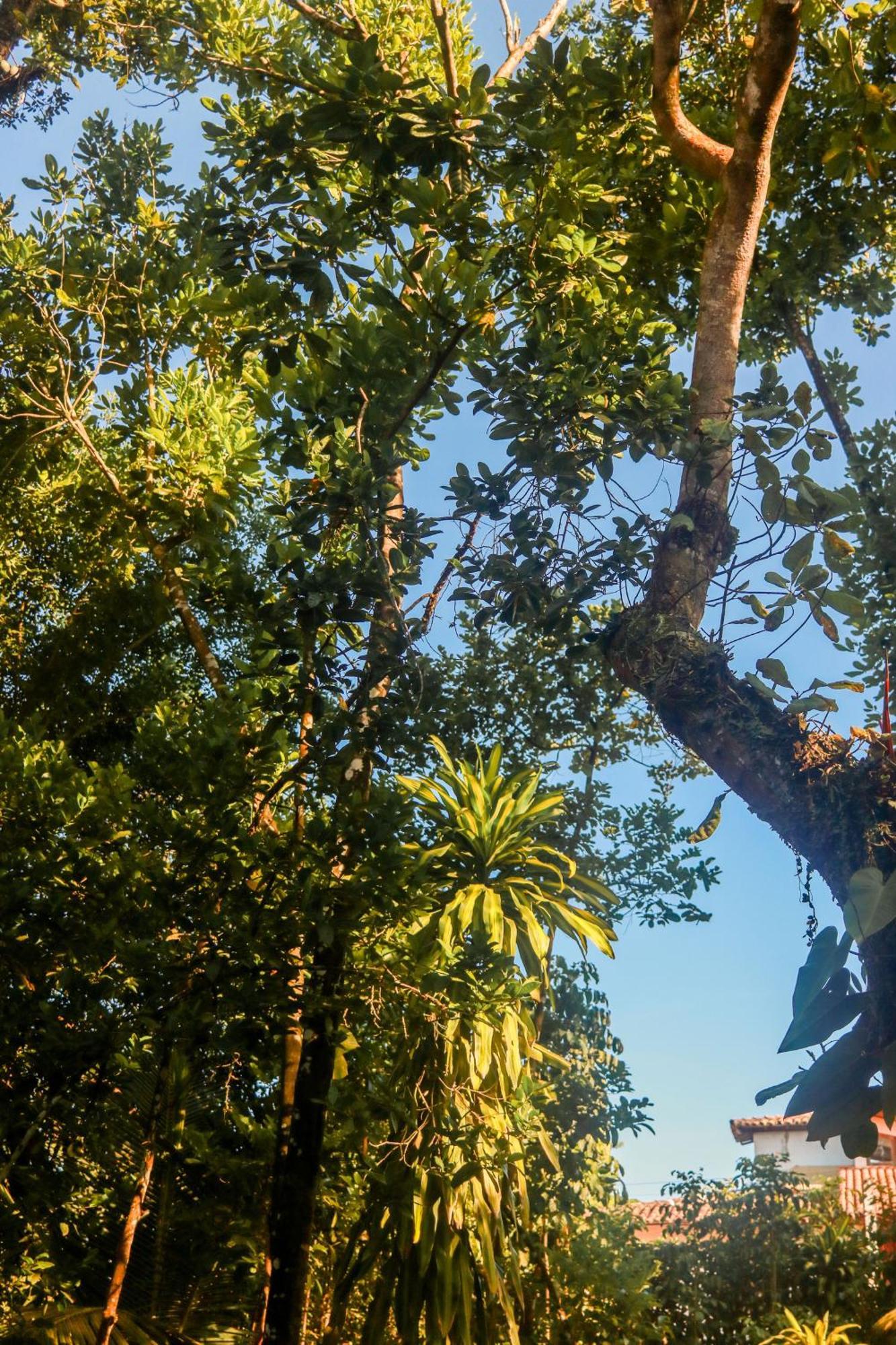 Pousada Guaiamum Itacaré Esterno foto